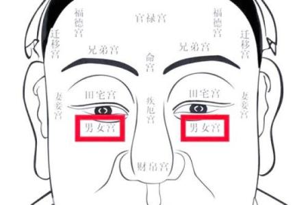 男人眉毛看相算命