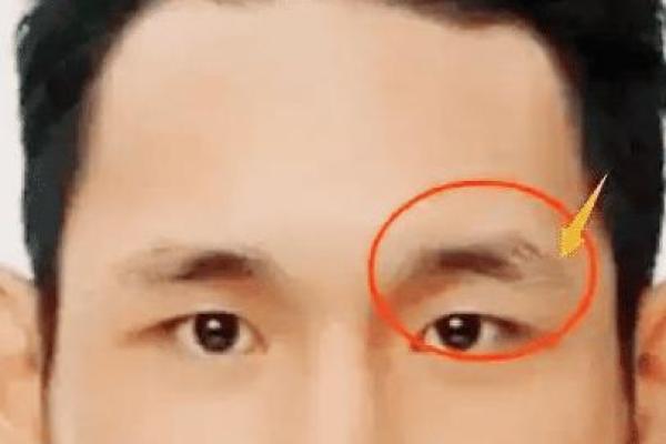 面相为什么断眉是富贵之相风水解答