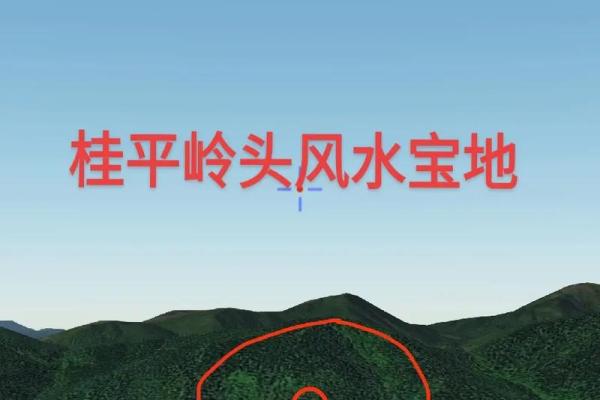 风水讲座视频_怎么总是打上封建迷信的审核结果