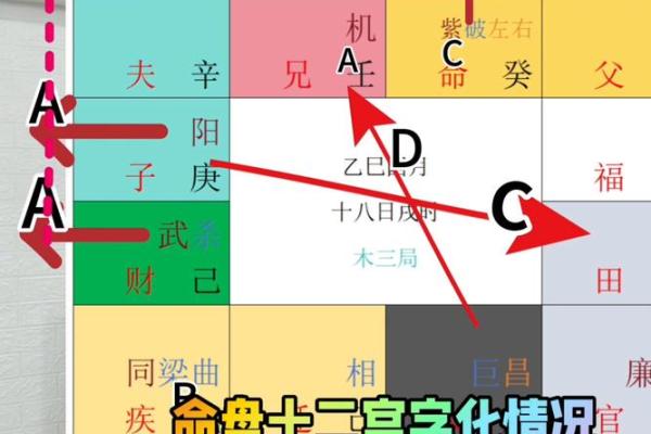 紫薇斗数地盘人盘天盘