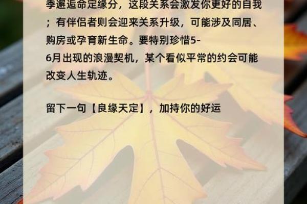 超准测试 2024年你的总体运势