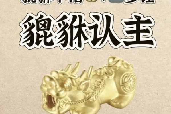 女生佩戴貔貅都有哪些风水禁忌了