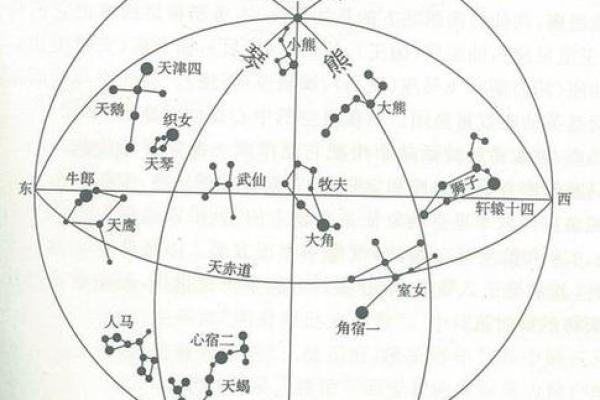 紫薇星北极星是什么龙 紫薇星北极星是什么龙