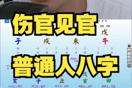 伤官合杀美女八字