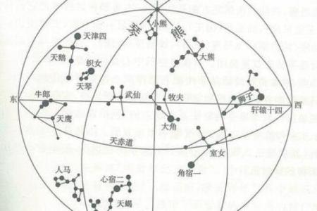 紫薇星北极星是什么龙