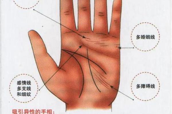 女人断掌手相算命图解 女人断掌手相算命图解