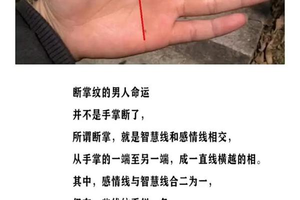 女人断掌手相算命图解 女人断掌手相算命图解