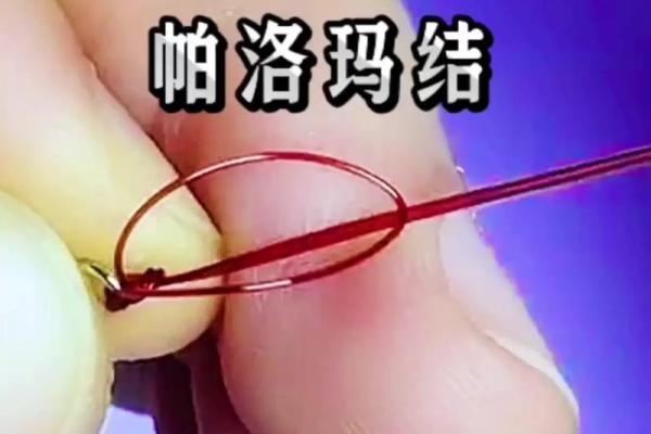 八字环怎么绑子线 八字环怎么绑子线