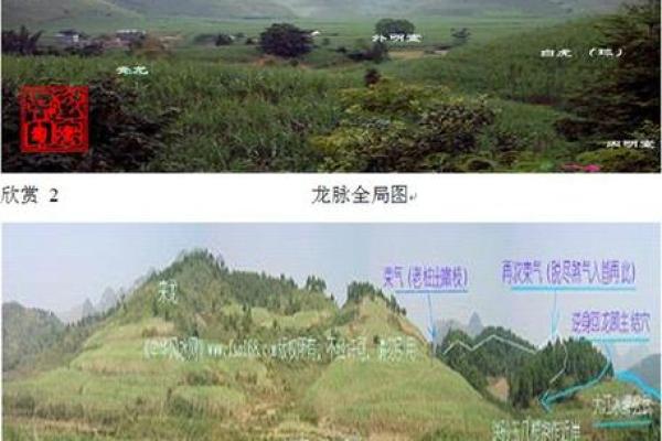 墓地虽小风水多，阴宅宜忌指南