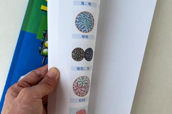 老年人三力测试题  三力测试模拟考试20题