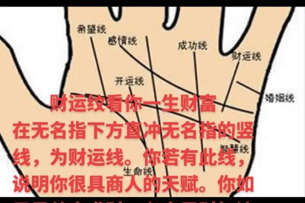 财运线算命