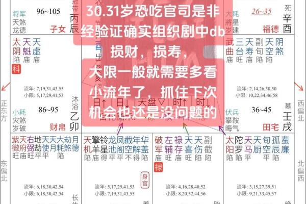 紫薇斗数财帛红鸾