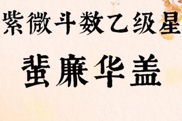 紫薇斗数流出忌