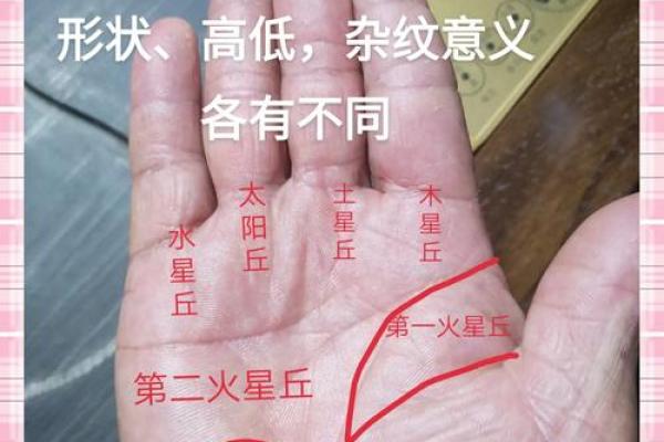 手相指纹算命图解 手相指纹算命图解