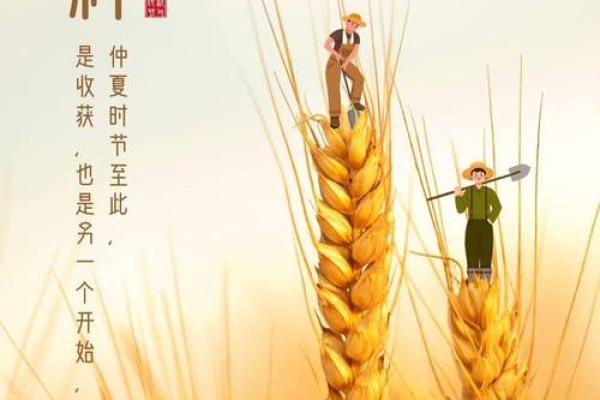 芒种前出生好还是芒种后 2024年芒种出生人的八字 芒种前出生好还是芒种后 2024年芒种出生人的八字