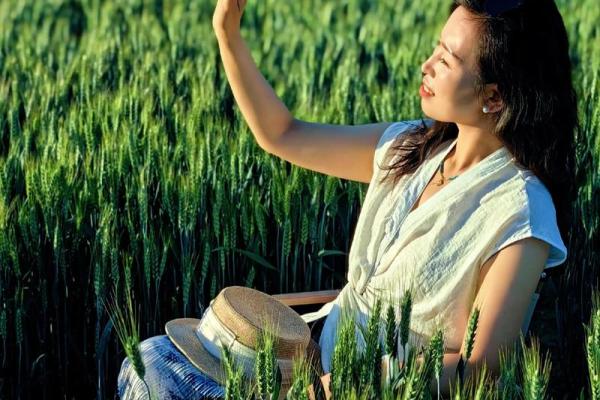 芒种前出生好还是芒种后 2024年芒种出生人的八字 芒种前出生好还是芒种后 2024年芒种出生人的八字