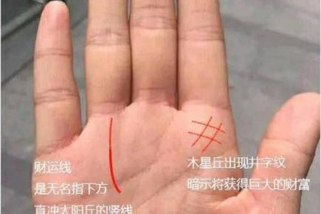 财运线算命