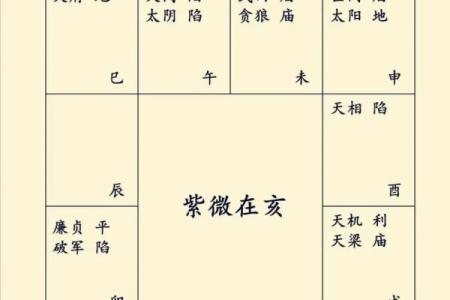 紫微斗数之财帛宫在亥宫 ，是什么意思？