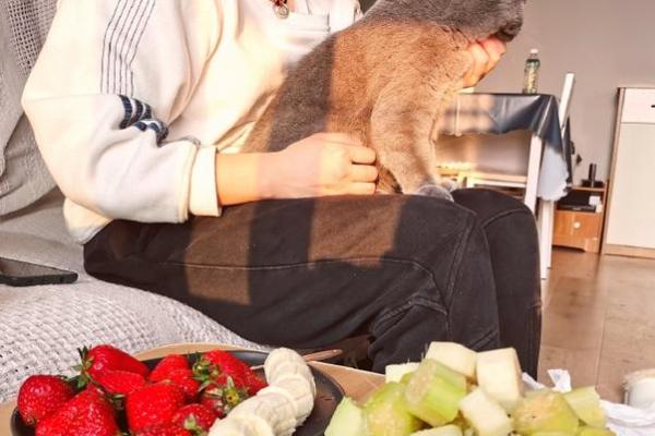 算命说我的前世是狐仙 算命说我的前世是狐仙