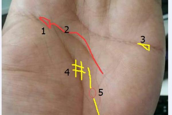 AI看面相 免费看手相，淘宝、朋友圈和微博上的算命先生到底有多野？