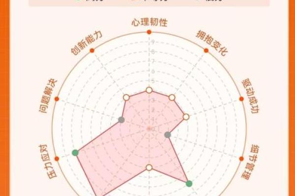 神准测试-你如何获得成功？