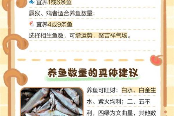 风水观点养鱼养几条旺财风水