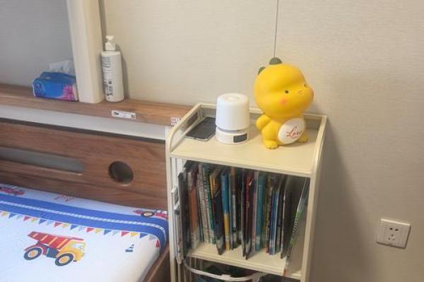 风水卧室_儿童书架可以对着卧室门吗