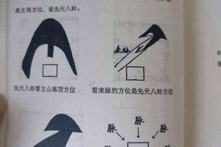 造成家庭矛盾激化的风水有哪些