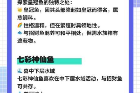 风水观点养鱼养几条旺财风水