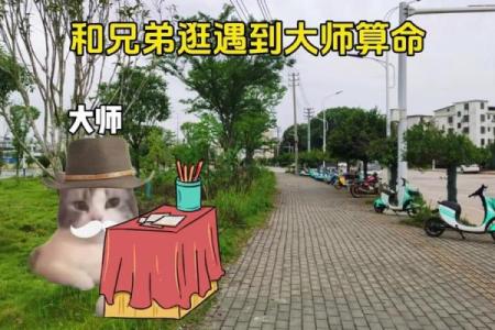 算命的兄弟是什么