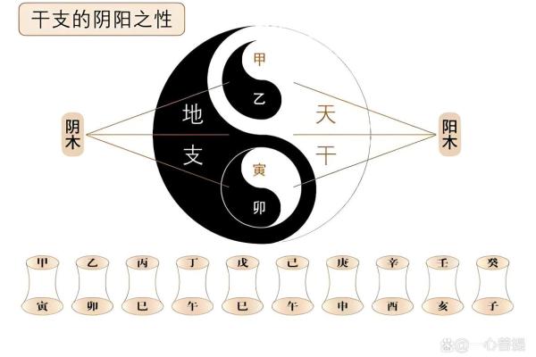 八字中的未土是什么？