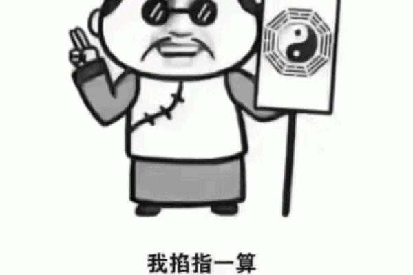 小说：高人给姚家两个新生儿算命，命格完全相反，老夫人一脸了然