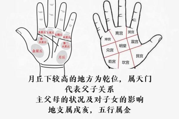 女人右手掌纹图解算命