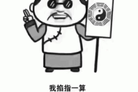 小说：高人给姚家两个新生儿算命，命格完全相反，老夫人一脸了然