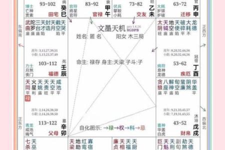 紫微斗数之夫妻宫与诸星，七杀星在夫妻宫是什么意思？