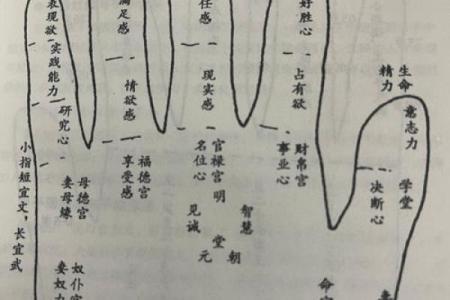 女人右手掌纹图解算命