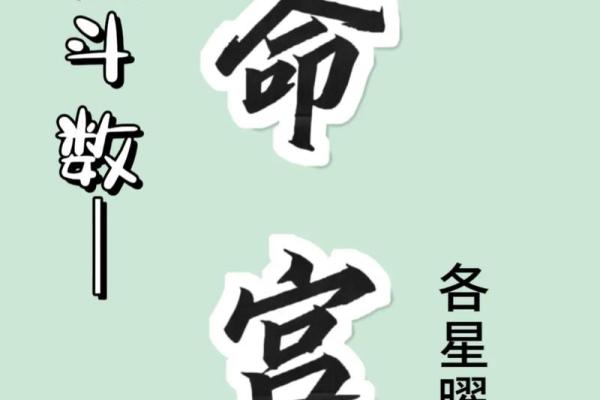 紫微斗数意外 紫微斗数意外伤害？