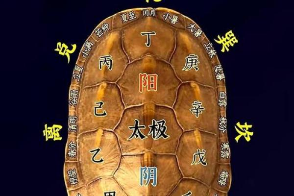 八字看七杀入墓