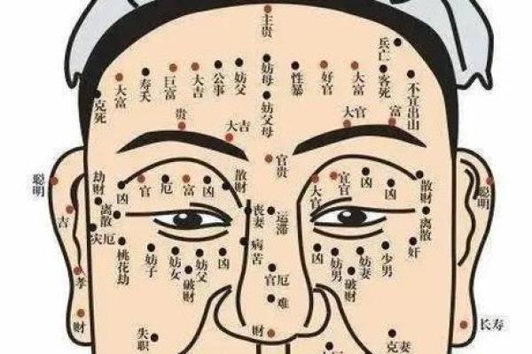 风水脸部哪里的痣不能点眉毛的痣