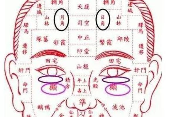 看脸上胎记算命知命运