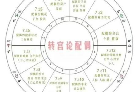 如何分析星盘姻缘