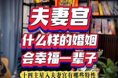 紫微斗数继父 紫微斗数看父母再婚？