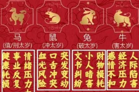 紫微斗数疾厄宫最坏的星曜