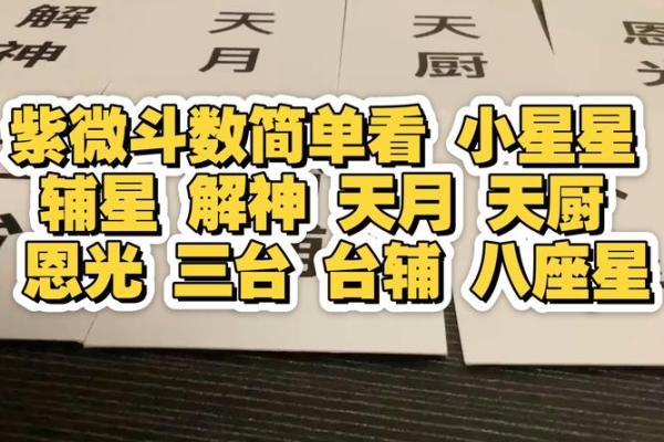 紫微斗数台辅星在命宫 台辅在命宫的女人？