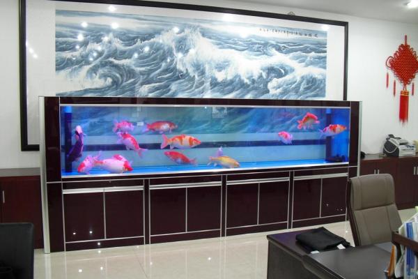 家中养鱼6大风水禁忌客厅鱼缸怎么摆放旺财示意图 家中养鱼6大风水禁忌客厅鱼缸怎么摆放旺财示意图