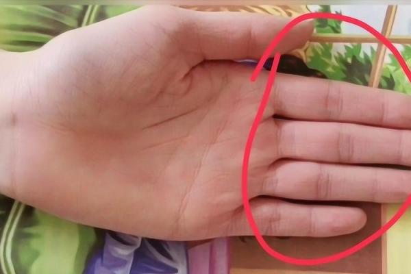 七岁小孩算命准吗