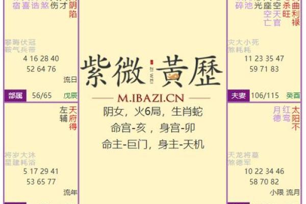 紫薇斗数如何看智力