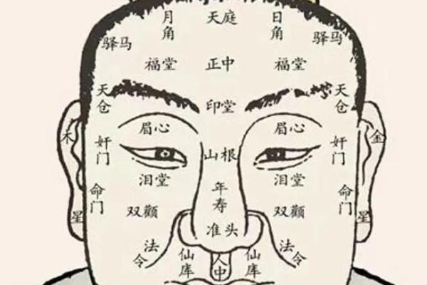 男人印堂面相算命