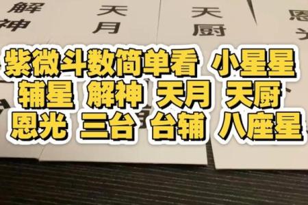 紫微斗数台辅星在命宫 台辅在命宫的女人？