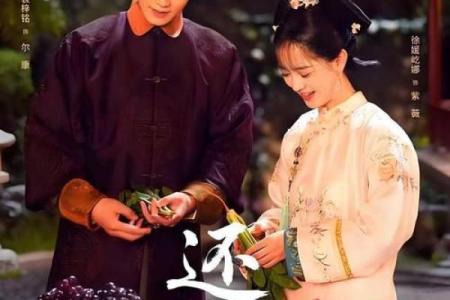 紫薇斗数视频合集